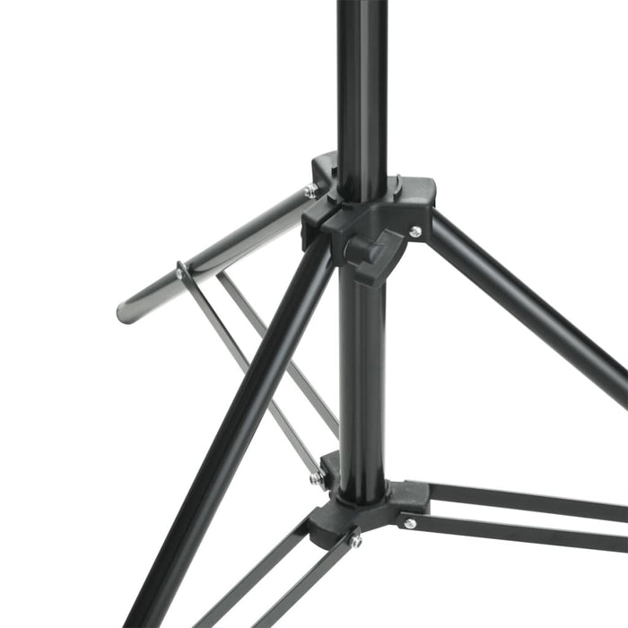 Sistem de suport fundal, 500 x 300 cm, negru - WALTI WALTI
