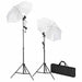 Kit studio foto, fundal negru, 600 x 300 & lumini - WALTI WALTI