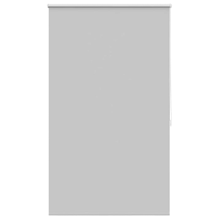 Jaluzea opacă 124,4x175 cm, lățime material 120 cm, gri WALTI