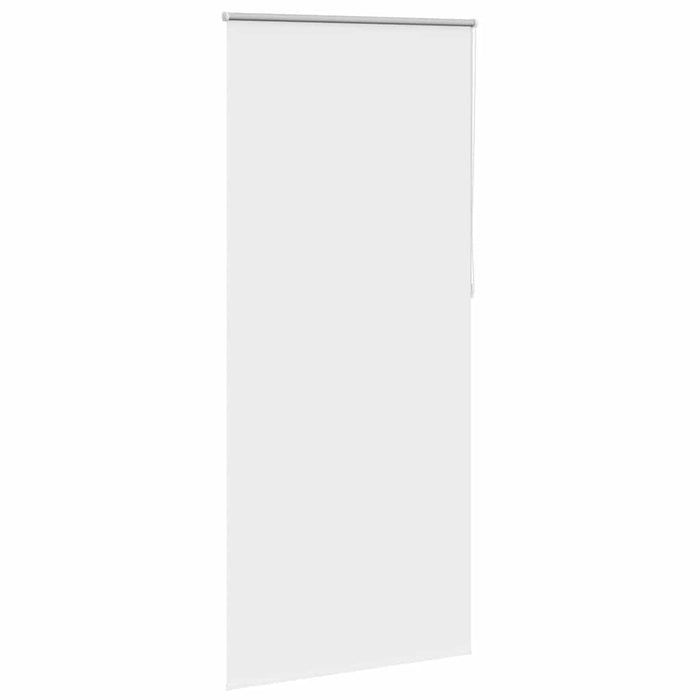 Jaluzea opacă 104,4x230 cm, lățime material 100 cm, alb WALTI