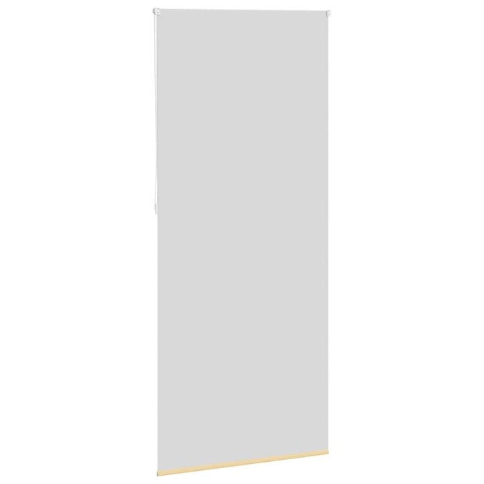 Jaluzea opacă 124,4x230 cm, lățime material 120 cm, bej WALTI