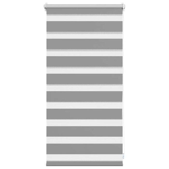 Jaluzea Zebră 40,9x100 cm Lățime material 36,7 cm gri WALTI