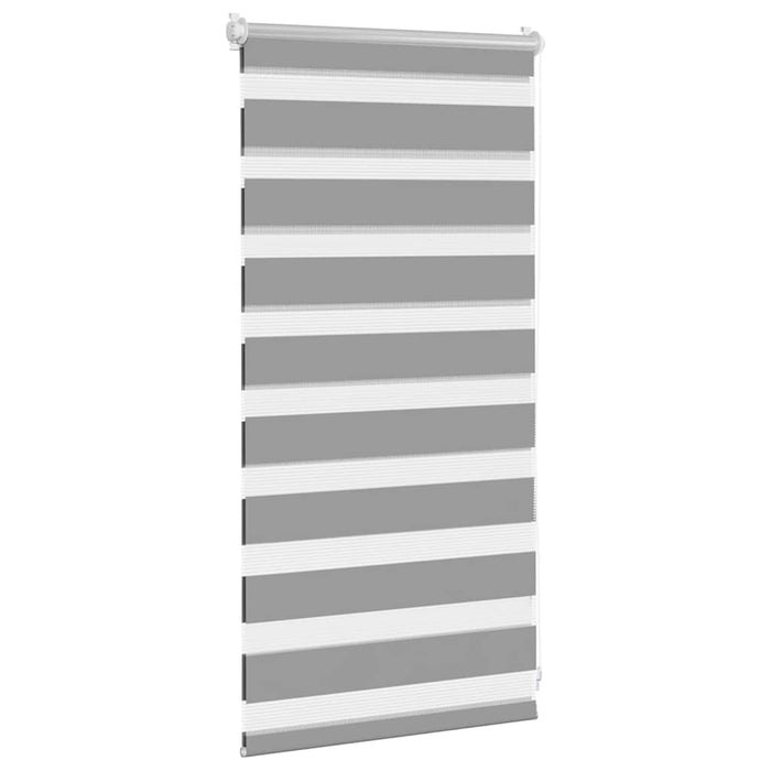 Jaluzea Zebră 40,9x100 cm Lățime material 36,7 cm gri WALTI