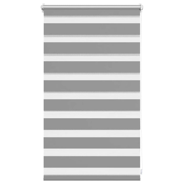 Jaluzea Zebră 50,9x100 cm Lățime material 46,7 cm gri WALTI