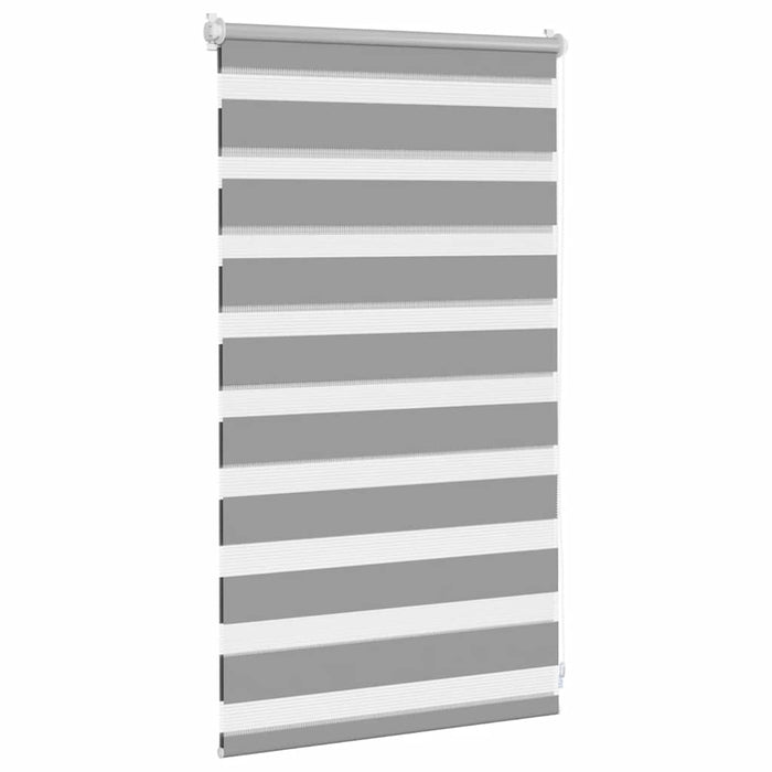 Jaluzea Zebră 50,9x100 cm Lățime material 46,7 cm gri WALTI