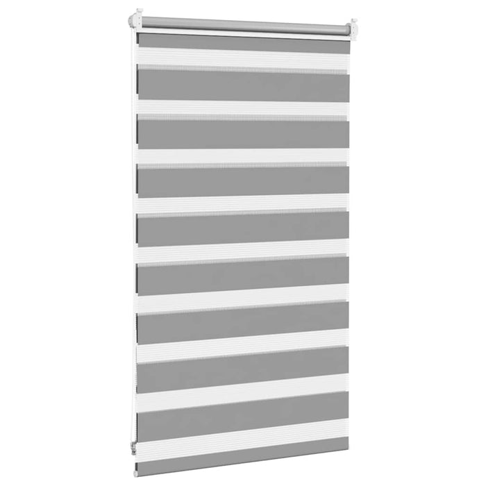Jaluzea Zebră 50,9x100 cm Lățime material 46,7 cm gri WALTI
