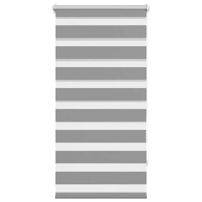 Jaluzea Zebră 60,9x120 cm Lățime material 56,7 cm gri WALTI