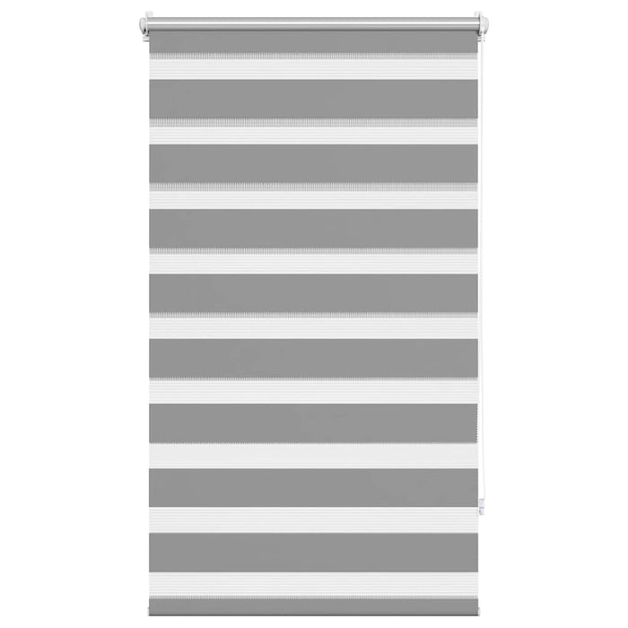 Jaluzea Zebră 70,9x120 cm Lățime material 66,7 cm gri WALTI