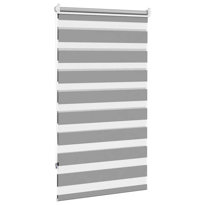 Jaluzea Zebră 70,9x120 cm Lățime material 66,7 cm gri WALTI