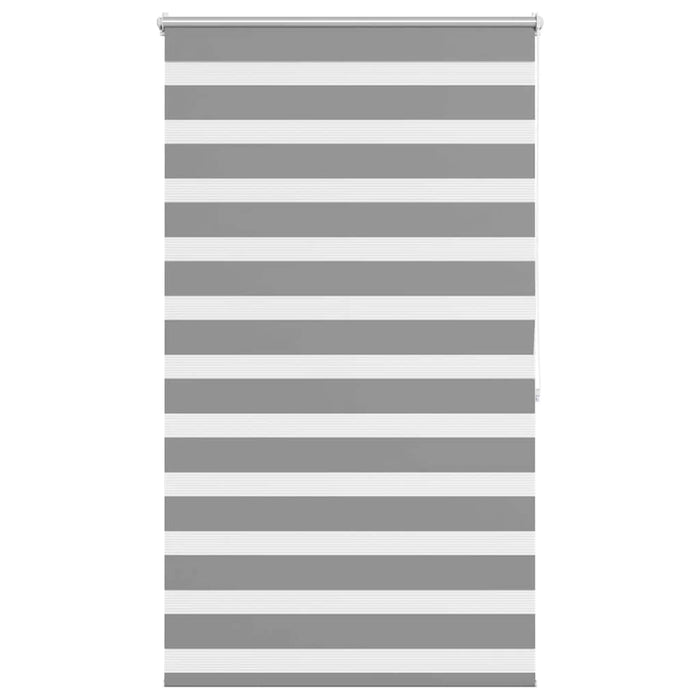 Jaluzea Zebră 100,9x175 cm Lățime material 96,7 cm gri WALTI