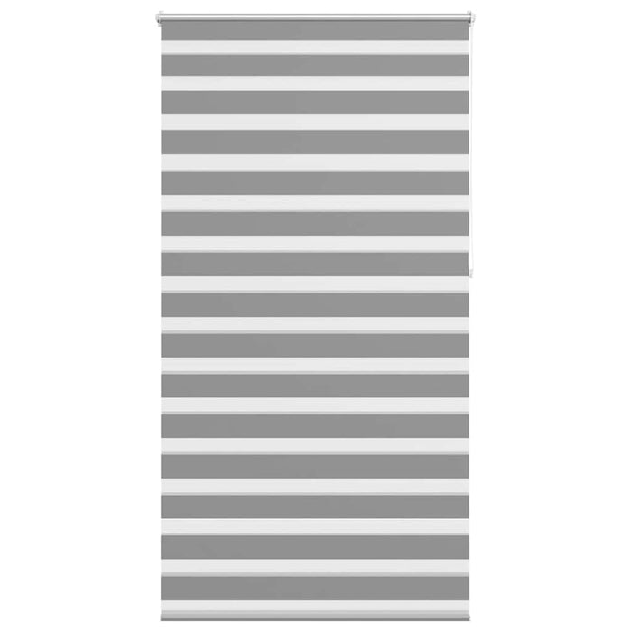 Jaluzea Zebră 120,9x230 cm Lățime material 116,7 cm gri WALTI