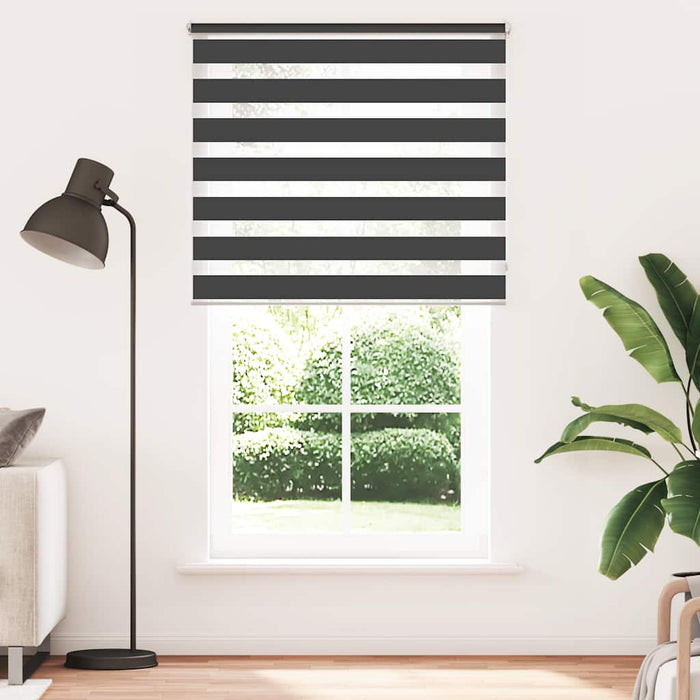 Jaluzea Zebră 120,9x230 cm Lățime material 116,7 cm negru - WALTI WALTI