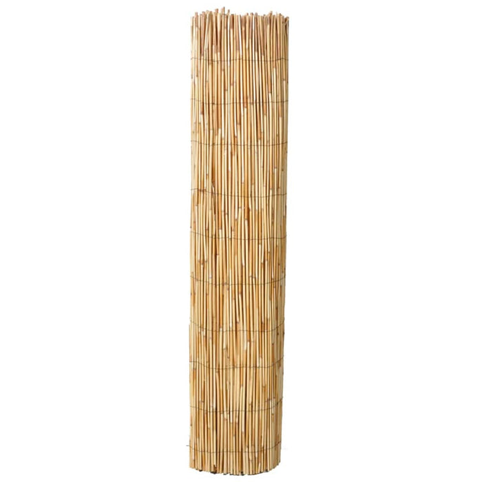 Gard din trestie, 150 x 500 cm WALTI