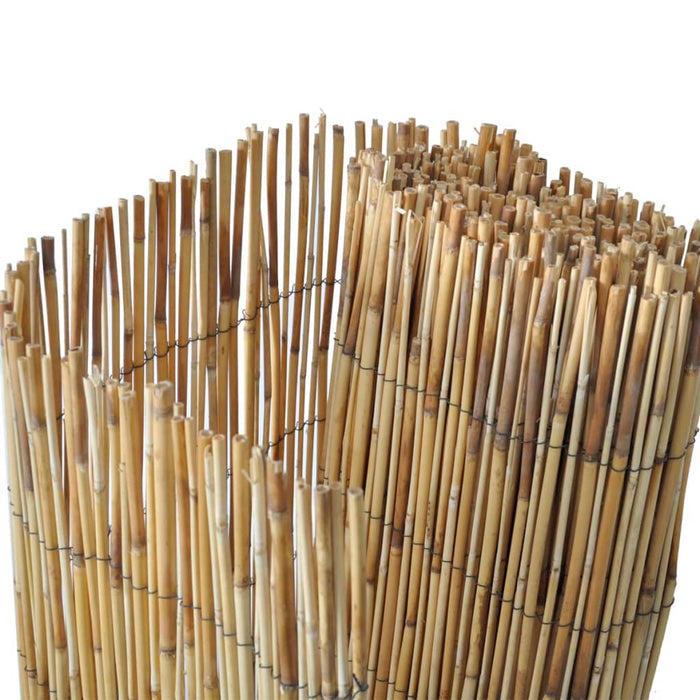 Gard din trestie, 150 x 500 cm WALTI