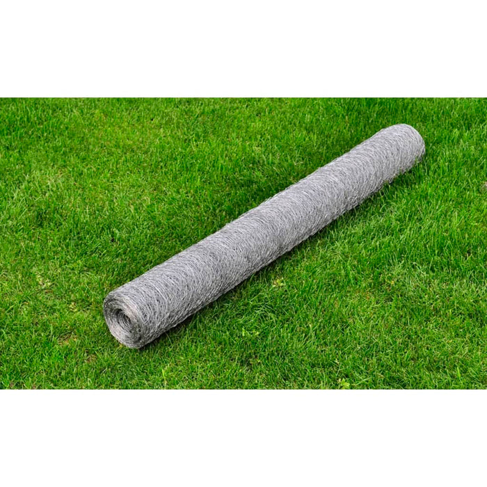 Plasă de sârmă pentru găini, argintiu, 25 x1 m, oțel galvanizat WALTI