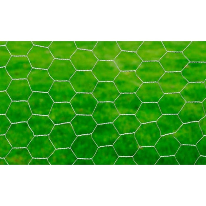 Plasă de sârmă pentru găini, argintiu, 25 x1 m, oțel galvanizat - WALTI WALTI