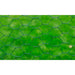 Plasă de sârmă găini, verde, 25 x 0,5 m, cu înveliș PVC - WALTI WALTI