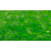 Plasă de sârmă găini, verde, 25 x 0,5 m, cu înveliș PVC - WALTI WALTI
