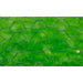 Plasă de sârmă găini, verde, 25 x 0,75 m, cu înveliș PVC - WALTI WALTI