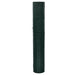 Plasă de sârmă găini, verde, 25 x 1 m, oțel galvanizat cu PVC - WALTI WALTI
