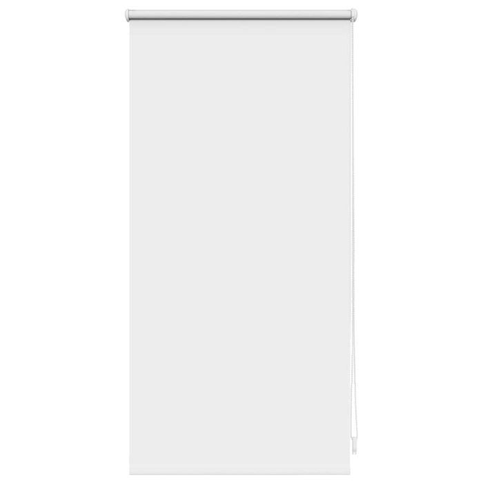 Jaluzea opacă 44,4x100 cm, lățime material 40 cm, alb WALTI