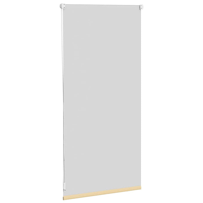 Jaluzea opacă 44,4x100 cm, lățime material 40 cm, bej WALTI