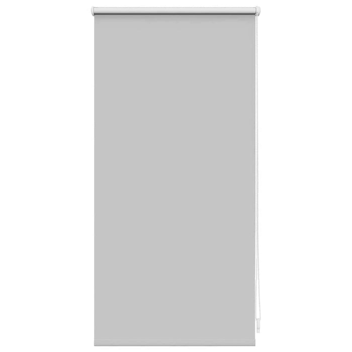 Jaluzea opacă 44,4x100 cm, lățime material 40 cm, gri WALTI
