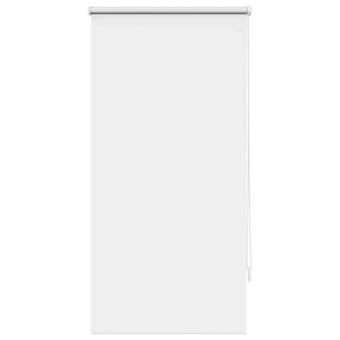 Jaluzea tip rulou opacă 64,4x120 cm, lățime material 60 cm, alb WALTI