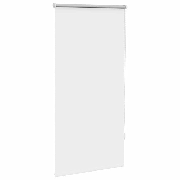 Jaluzea tip rulou opacă 64,4x120 cm, lățime material 60 cm, alb WALTI