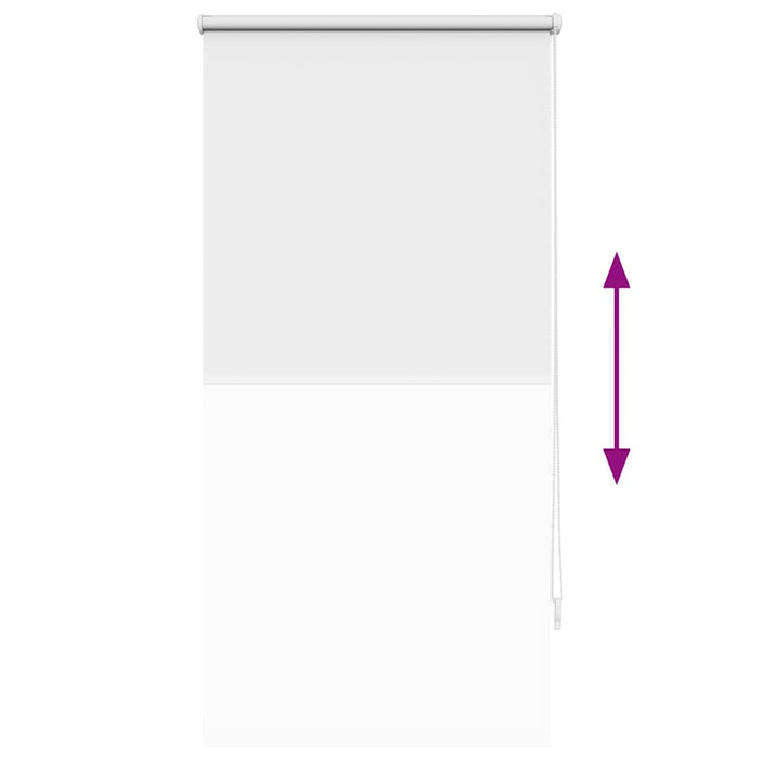 Jaluzea tip rulou opacă 64,4x120 cm, lățime material 60 cm, alb WALTI