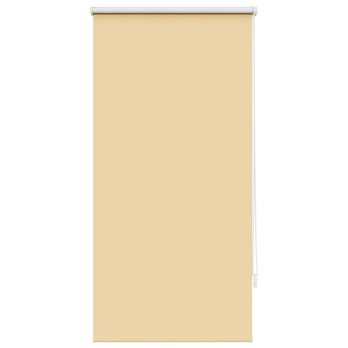 Jaluzea opacă 64,4x120 cm, lățime material 60 cm, bej WALTI