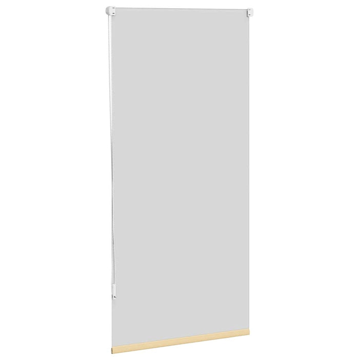 Jaluzea opacă 64,4x120 cm, lățime material 60 cm, bej WALTI