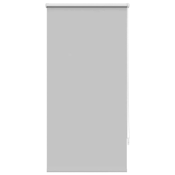 Jaluzea opacă 64,4x120 cm, lățime material 60 cm, gri WALTI