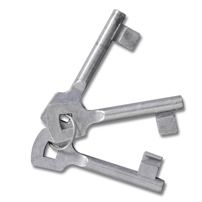 Gard de grădină plasă, poartă gard grilaj, 289x200 cm/306x250 cm - WALTI WALTI