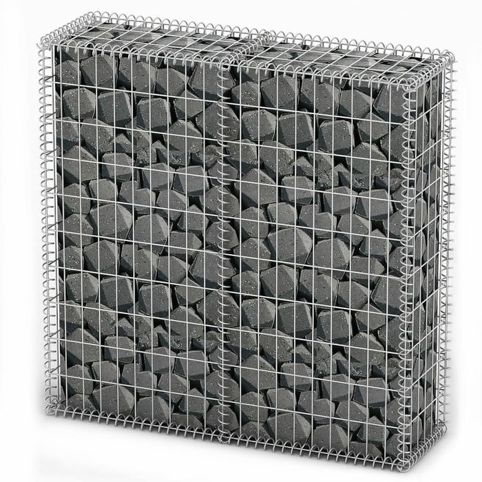 Coș gabion cu capace, sârmă galvanizată, 100 x 100 x 30 cm - WALTI WALTI