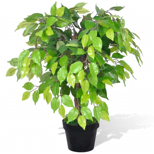 Ficus pitic artificial cu ghiveci, 60 cm - WALTI WALTI