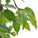 Ficus pitic artificial cu ghiveci, 60 cm - WALTI WALTI