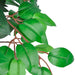 Planta artificială, arbore de ficus, cu ghiveci, 110 cm - WALTI WALTI