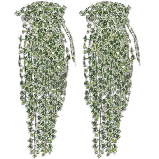 Tufiș de iederă artificială, 2 buc., pestriță, 90 cm - WALTI WALTI