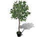 Dafin artificial cu ghiveci, 120 cm - WALTI WALTI