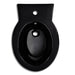 Set Toaletă și Bideu Ceramică Negru - WALTI WALTI