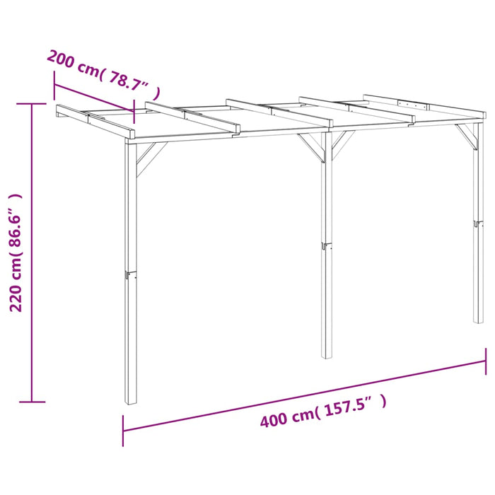 Pergolă de perete, 2 x 4 x 2,2 m, lemn - WALTI WALTI