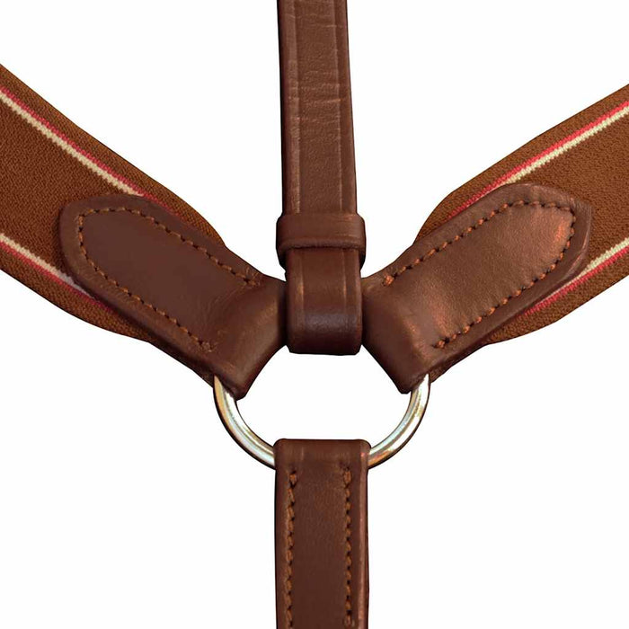 Pieptar din piele cu martingală elastic reglabil pentru cai Cob, maro WALTI