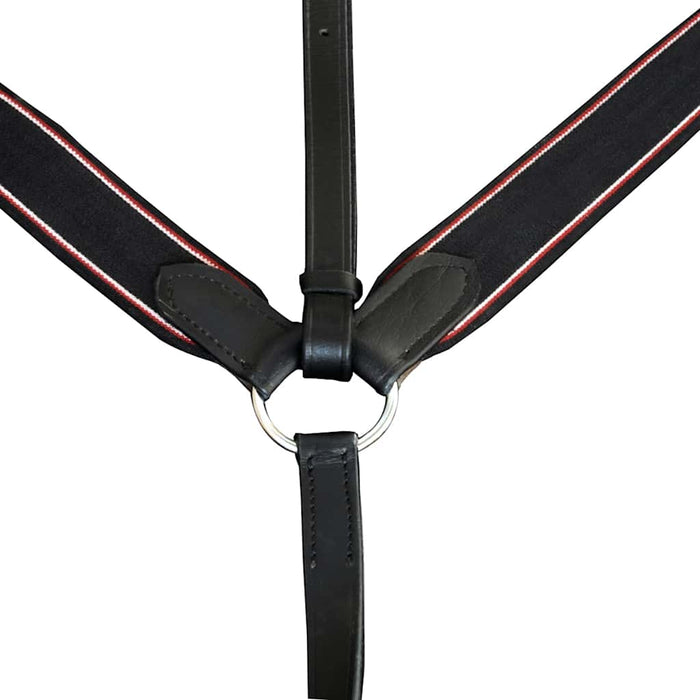 Pieptar din piele elastic reglabil cu martingală, negru, full WALTI