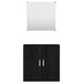 Set de mobilier de baie cu 2 piese, lemn prelucrat negru - WALTI WALTI