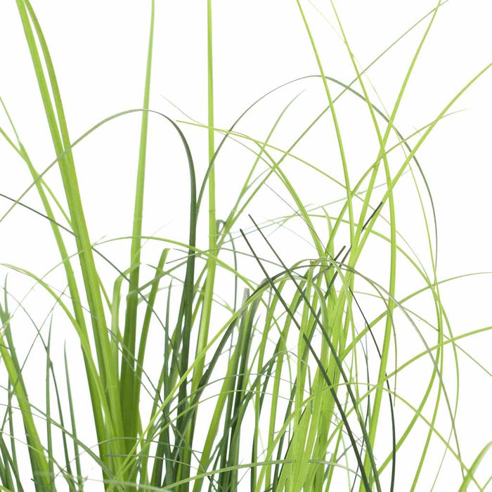 Plantă iarbă artificială în ghiveci, verde, 130 cm WALTI