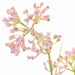 Flora artificială 95 cm Plastic - WALTI WALTI