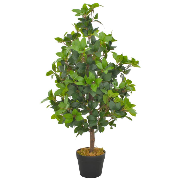 Plantă artificială dafin cu ghiveci, verde, 90 cm - WALTI WALTI