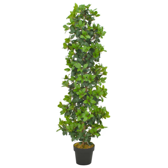 Plantă artificială dafin cu ghiveci, verde, 150 cm - WALTI WALTI