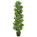 Plantă artificială dafin cu ghiveci, verde, 150 cm - WALTI WALTI